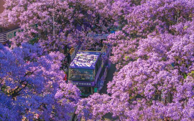优服务繁荣文旅市场AG真人国际以更