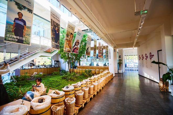 验咖啡文化深入了解背后的文化故事AG真人登录普洱北归咖啡庄园体(图7) 验咖啡文化深入了解背后的文化故事AG真人登录普洱北归咖啡庄园体(图7)