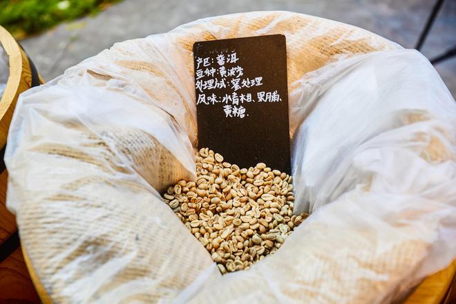 验咖啡文化深入了解背后的文化故事AG真人登录普洱北归咖啡庄园体(图4) 验咖啡文化深入了解背后的文化故事AG真人登录普洱北归咖啡庄园体(图4)